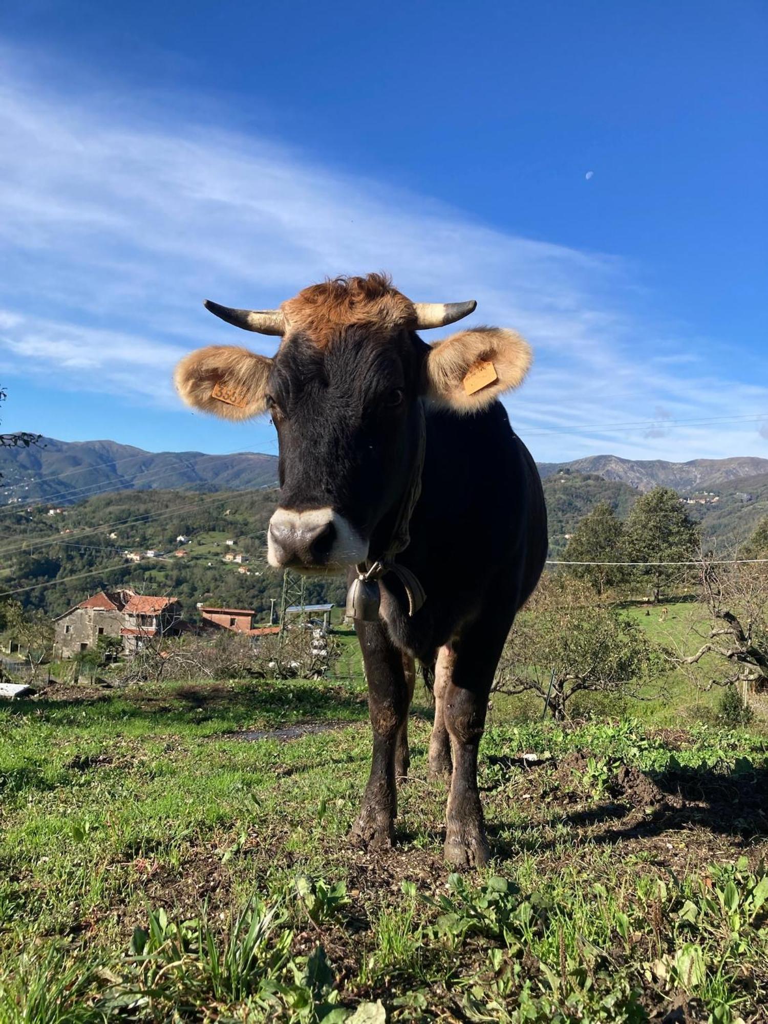 Terra E Cielo Farm stay *