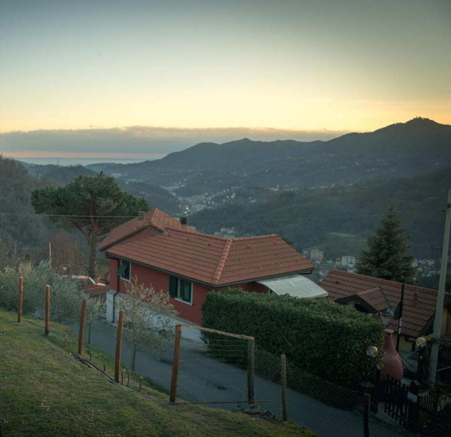 Terra E Cielo Farm stay